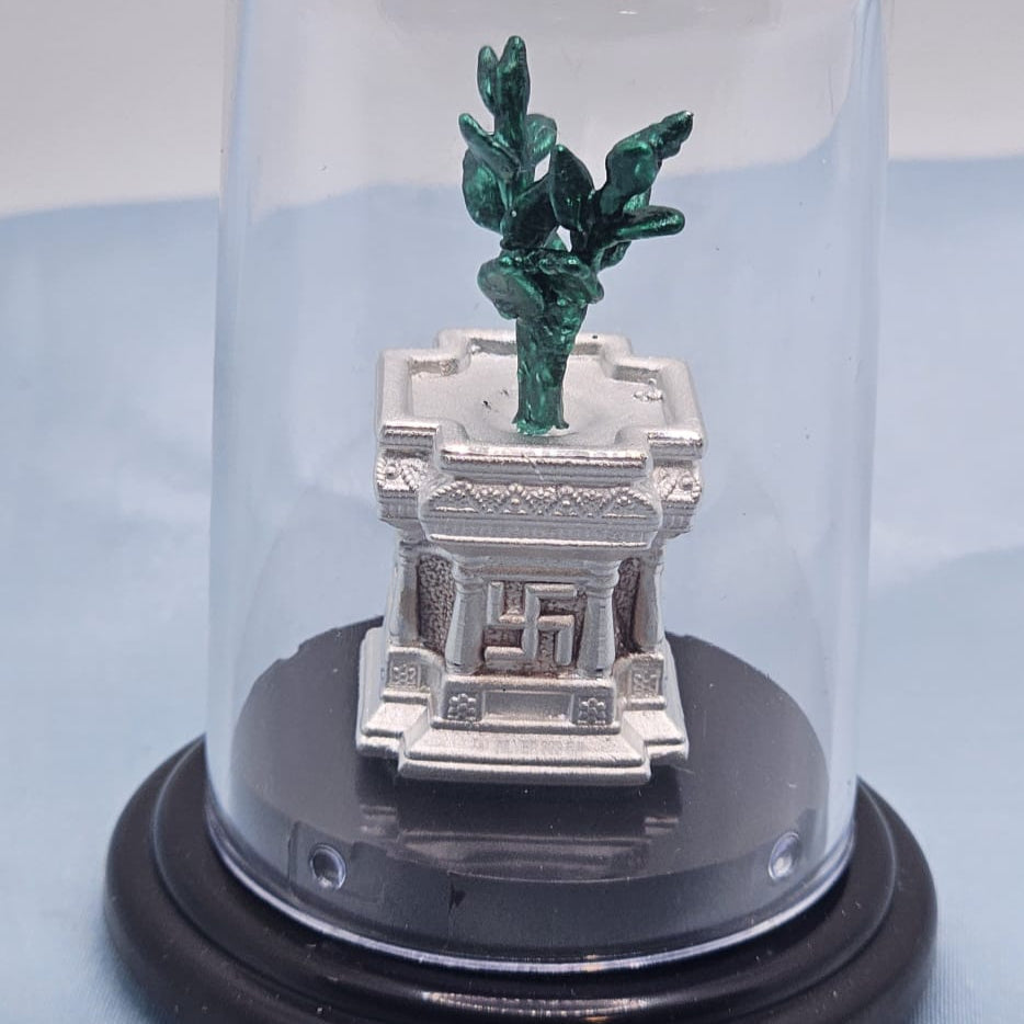 Tulsi Plant in Mandir Dome